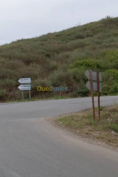 Location Terrain Blida Meftah