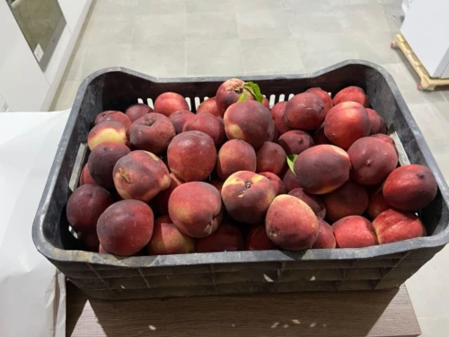 Vente Terrain Agricole Médéa Boughezoul