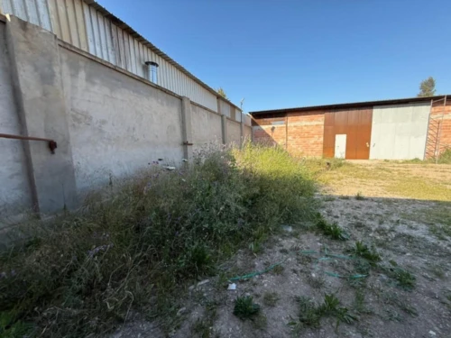 Vente Hangar - Usine Boumerdès Hammedi