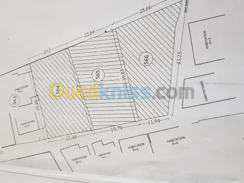Vente Terrain Alger Reghaia