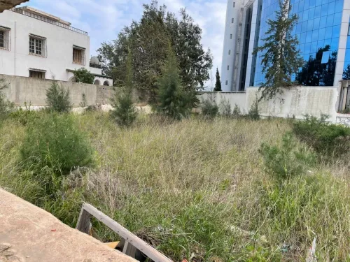 Vente Terrain Alger Birkhadem