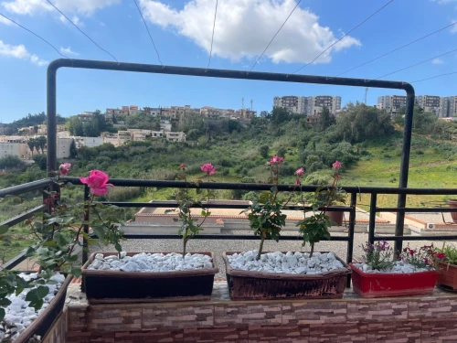 Vente Appartement F4 Alger Ouled fayet