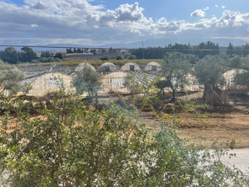 Vente Terrain Alger Souidania