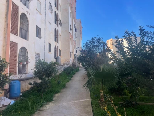Location Tipaza Kolea