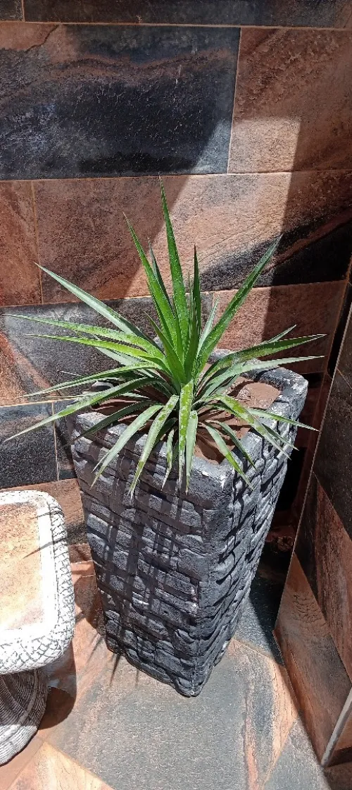 Vente Villa Sétif Bazer sakhra