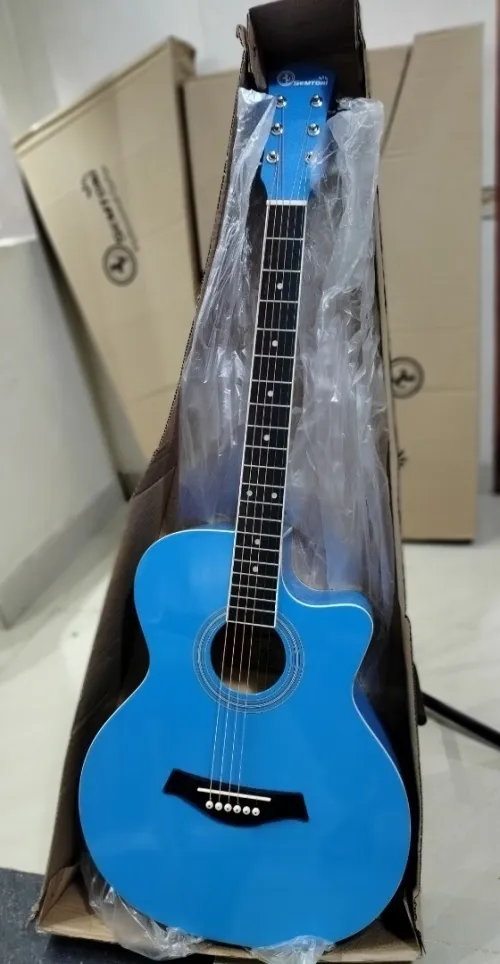 Guitares acoustiques folk