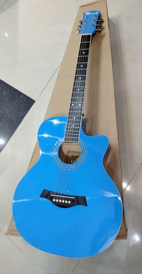 Guitares acoustiques folk