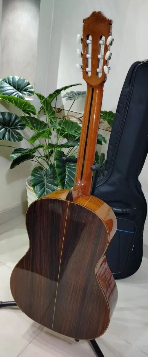 Des Guitares classiques professionnel