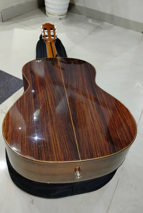 Des Guitares classiques professionnel