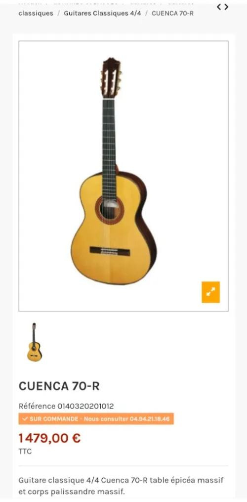 Des Guitares classiques professionnel