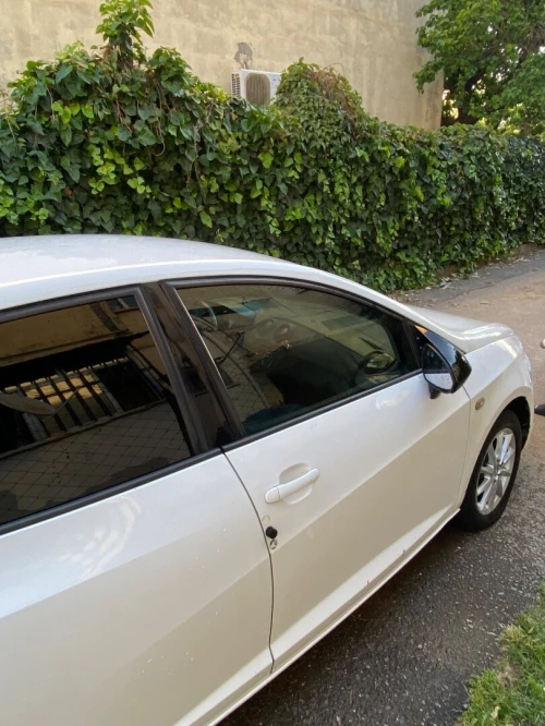 Seat Ibiza 2012 Ibiza