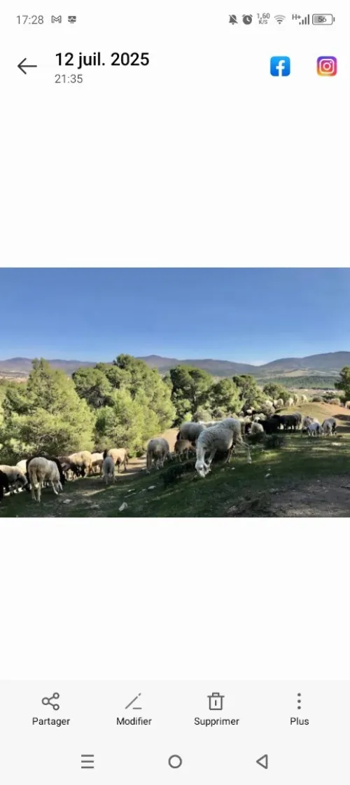 Vente Terrain Bouira Bordj okhriss