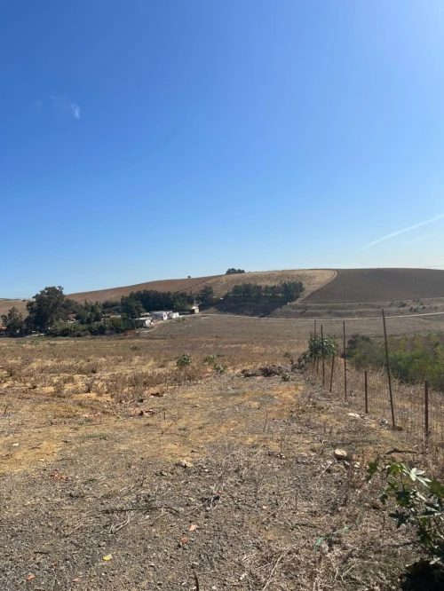 Vente Terrain Agricole Alger Ouled fayet