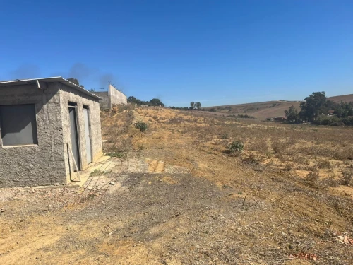 Vente Terrain Agricole Alger Ouled fayet