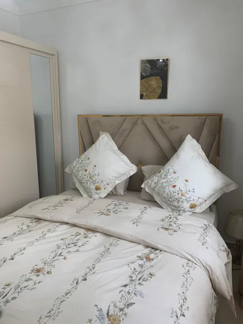 Vente Appartement F2 Alger Hydra