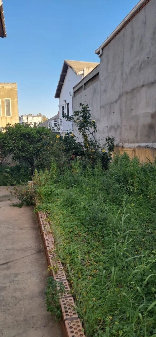 Vente Villa Alger Hussein dey