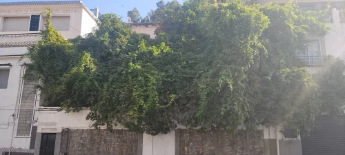 Vente Villa Alger El biar