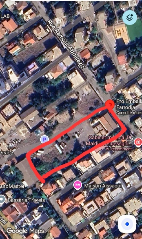 Vente Terrain Blida Blida