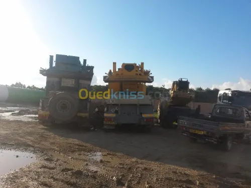 location grue RICHTER 12t 20t 30t 45t
