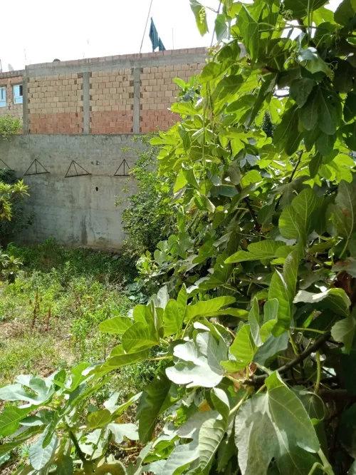 Vente Villa Béjaïa Bejaia