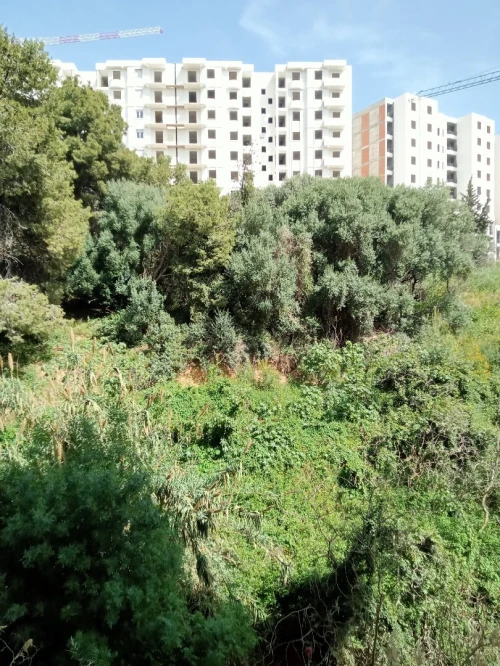 Vente Appartement F3 Béjaïa Bejaia