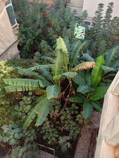 Vente Villa Béjaïa Bejaia