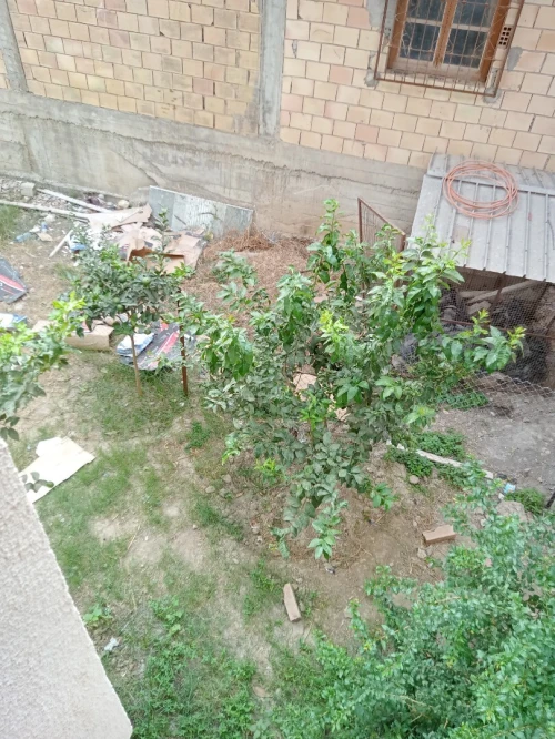 Vente Villa Béjaïa Bejaia