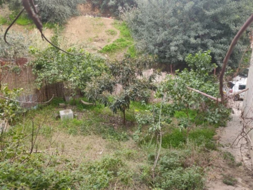 Vente Villa Béjaïa Bejaia
