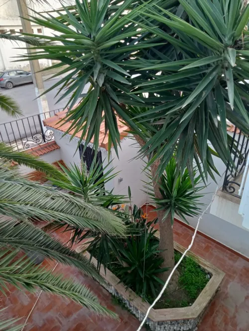Vente Villa Béjaïa Bejaia