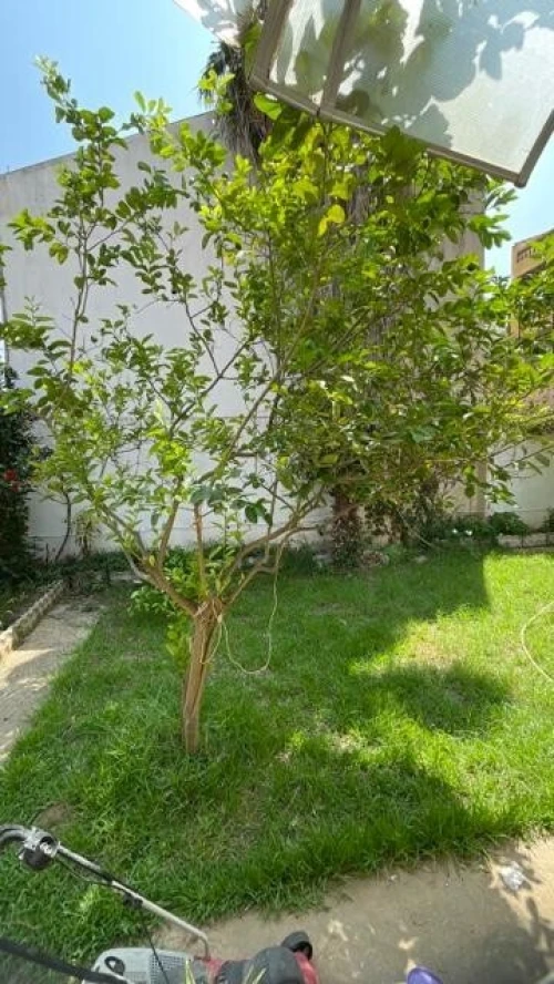 Vente Villa Béjaïa Tichy