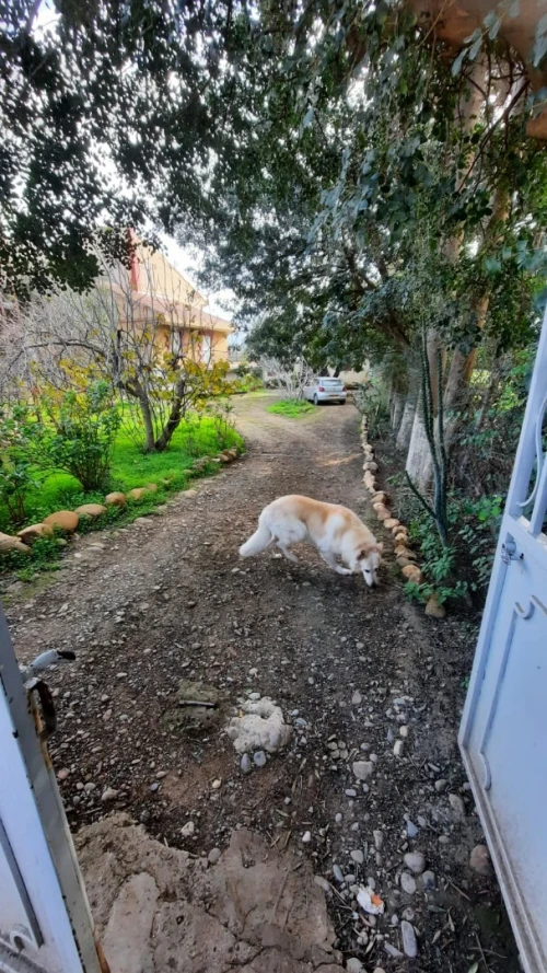 Vente Villa Béjaïa Akbou