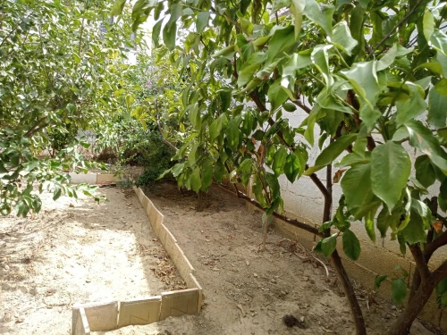 Vente Villa Béjaïa Bejaia