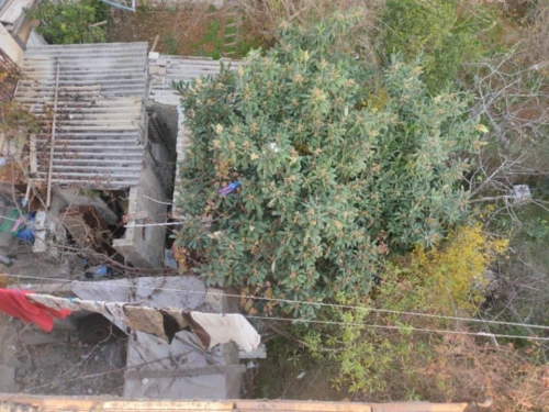 Vente Villa Béjaïa Bejaia