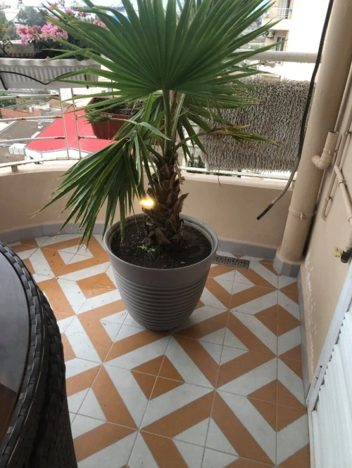 Vente Appartement F3 Béjaïa Bejaia