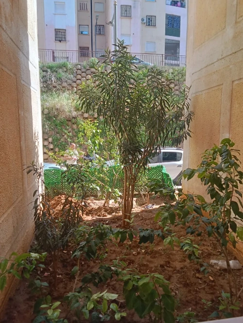 Vente Appartement F3 Alger Birkhadem