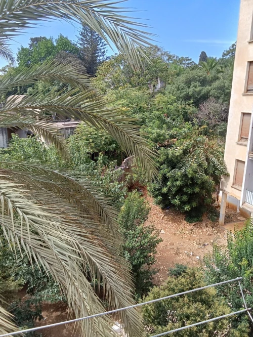 Vente Appartement F3 Alger El biar