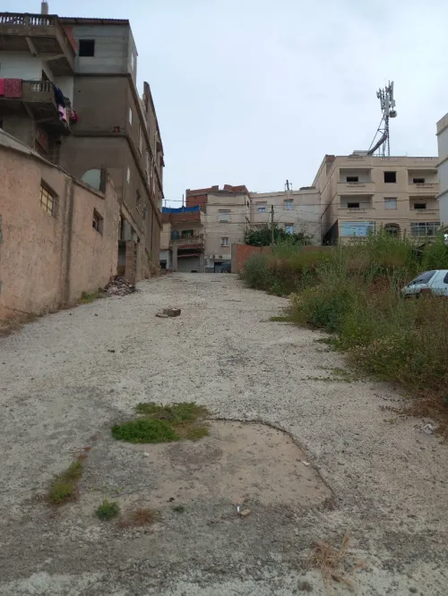 Vente Terrain Alger Saoula