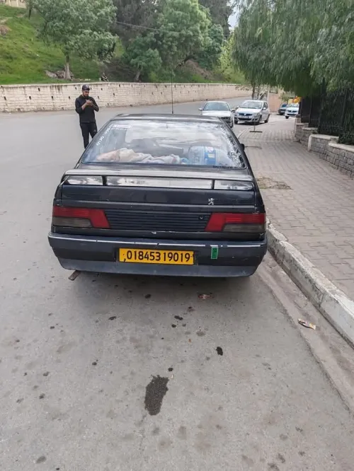 Peugeot 405 1990 405