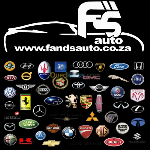 auto diagnostique