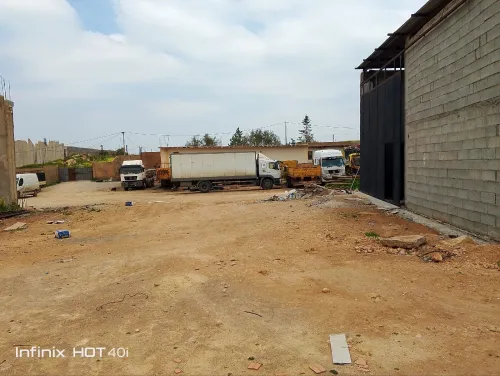 Location Hangar - Usine Tlemcen Hennaya