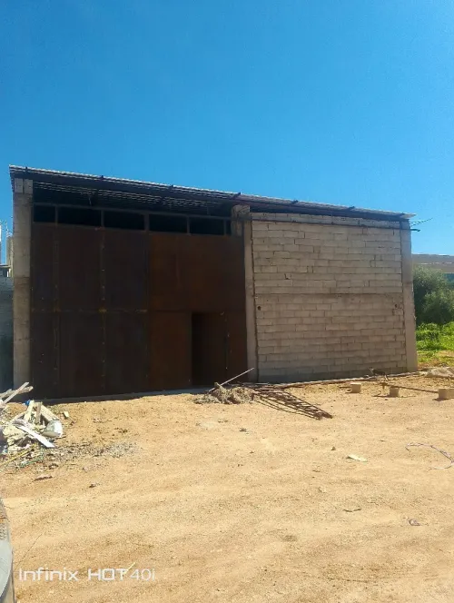 Location Hangar - Usine Tlemcen Tlemcen