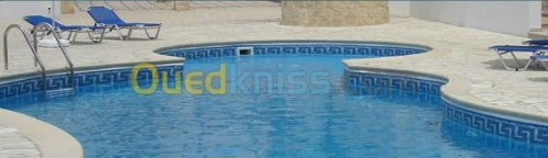 Etude & construction de piscine en dur