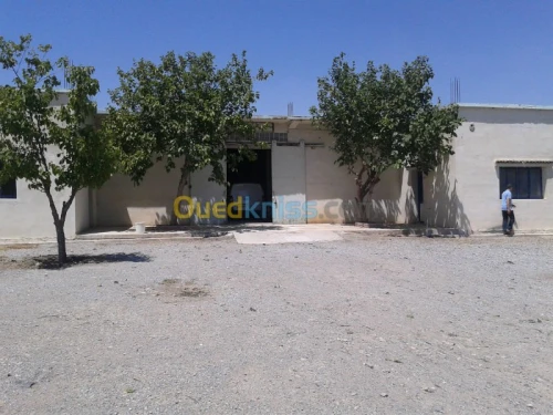 froide & congélation