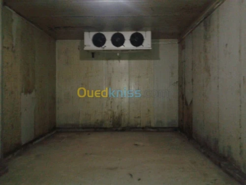 froide & congélation