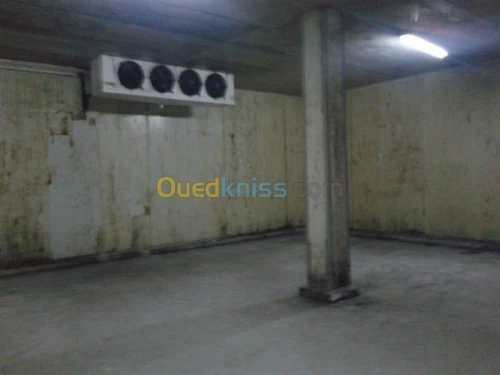 froide & congélation