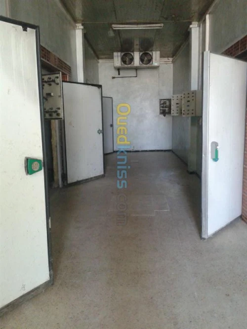 froide & congélation