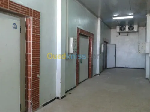 froide & congélation