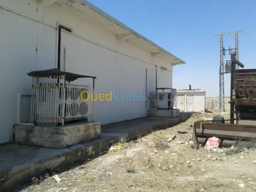 froide & congélation