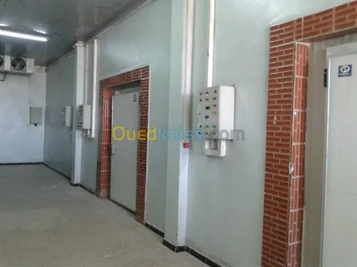 froide & congélation