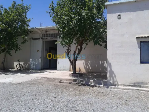 froide & congélation